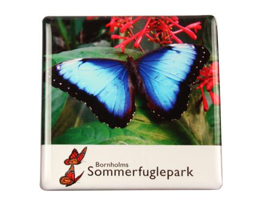 Køleskabsmagnet Epoxy 65x65 mm. Bhlm. sommerfugl park blå#